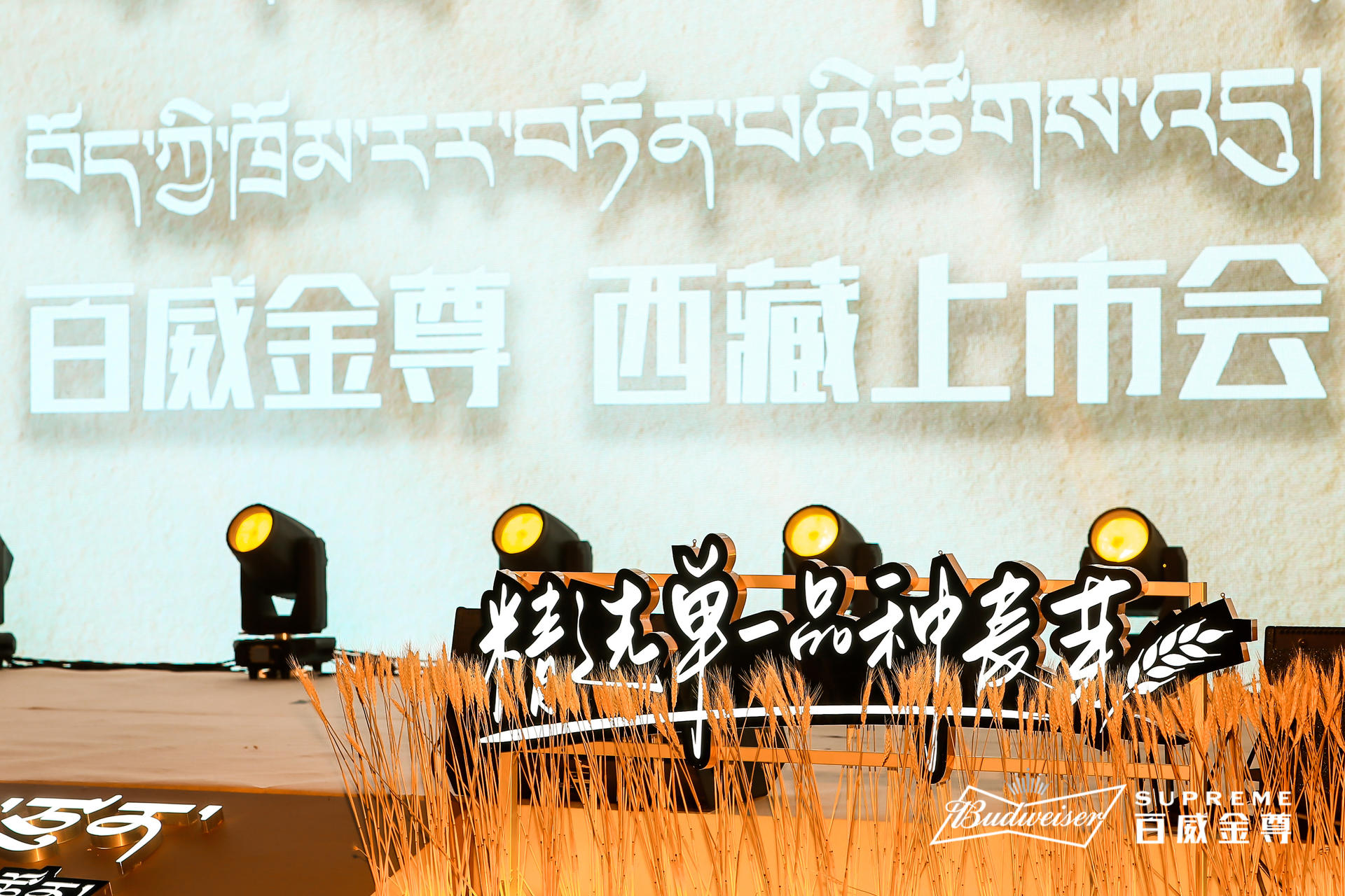 百威金尊西藏上市發(fā)布會活動策劃用心定制，現(xiàn)場麥芽裝飾盡享豐收