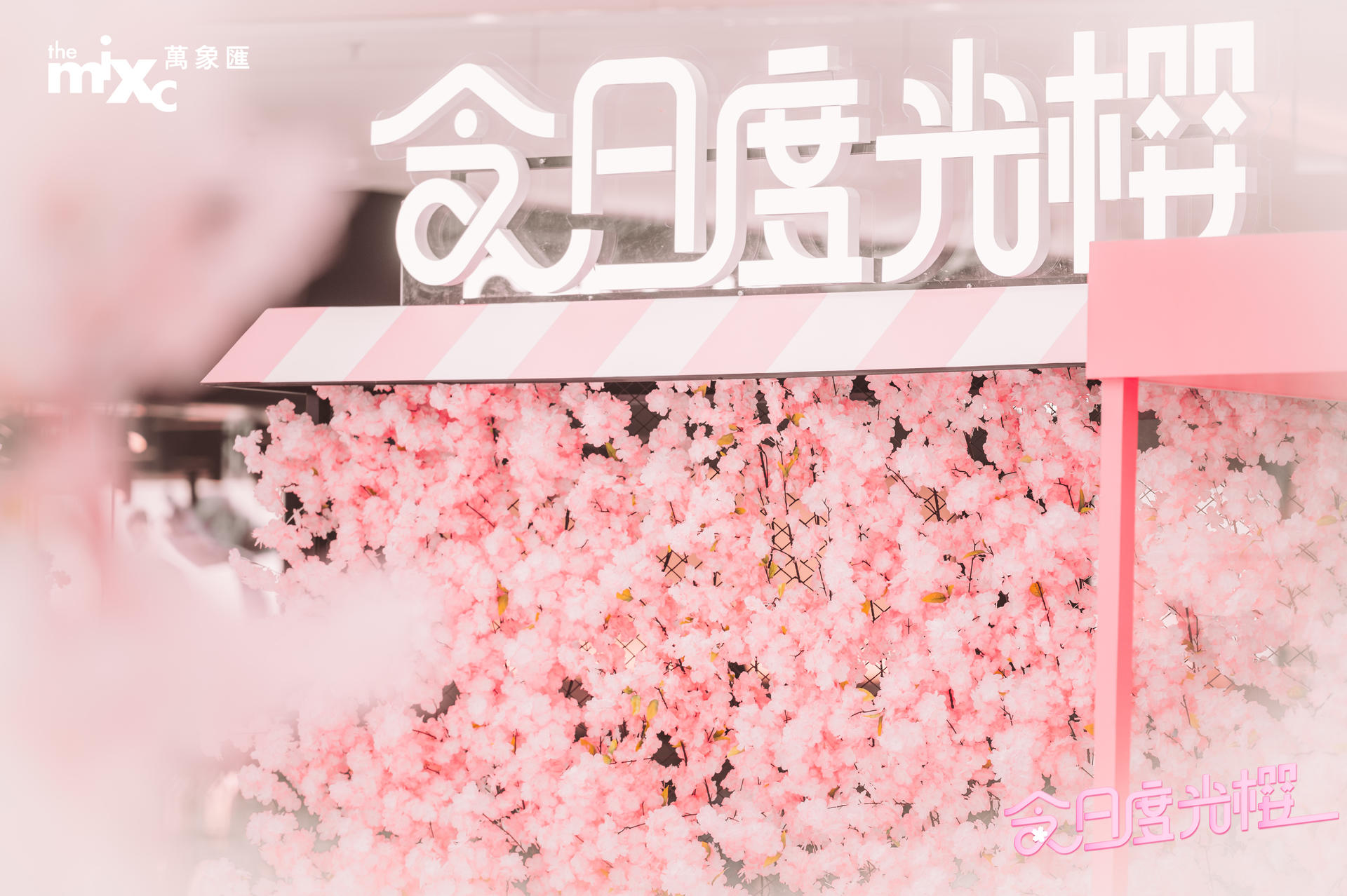 漫步「今日度光櫻」美陳活動策劃隨便一拍都是霸圈的ins風